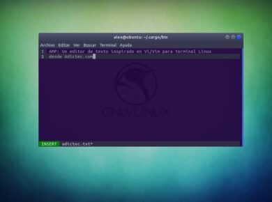 AMP: Un editor de texto inspirado en Vi/Vim para terminal Linux 4 AMP Editor de Texto Linux