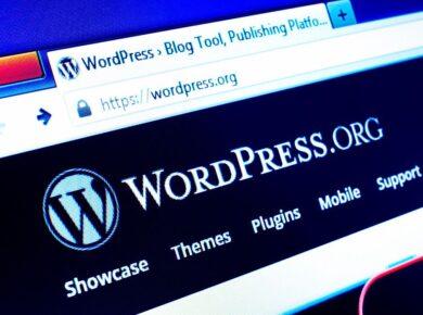 ¿Qué porcentaje de sitios web son WordPress en 2021? 5 WordPress