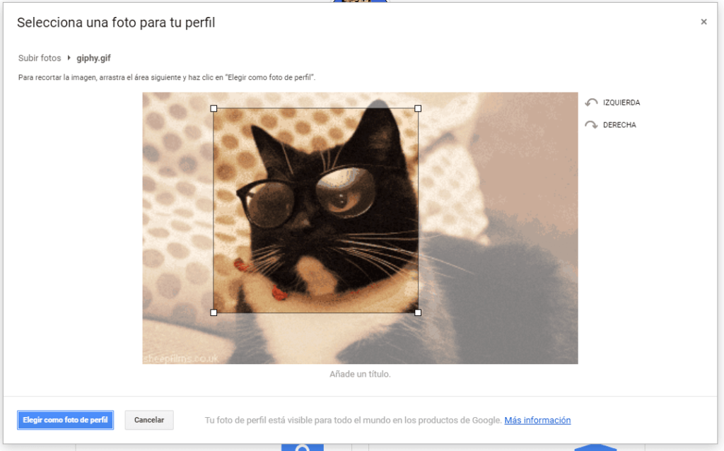 Cómo usar un GIF para tu foto de perfil de Google 3 Elegir GIF como foto de perfil de Google