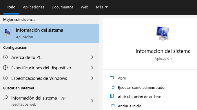 Cómo verificar información de tu tarjeta gráfica en Windows 10 10 Informacion del sistema