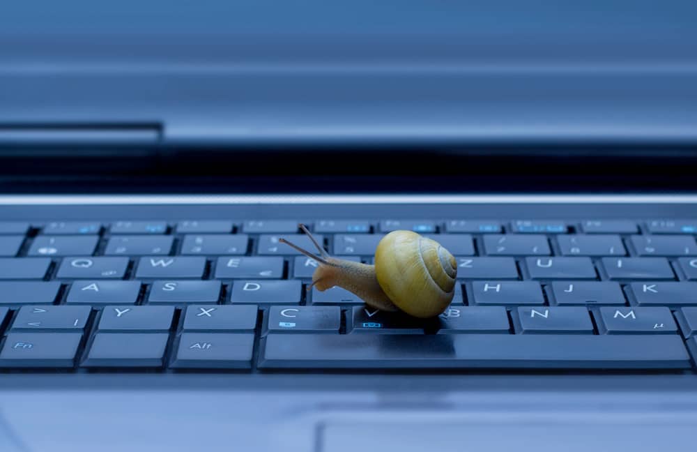 Un caracol arrastrándose sobre el teclado de un portátil, simbolizando un ordenador lento.